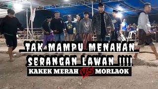 Pasukan kakek merah vs morlaokberbanteng [[ tarektambang kutaan wonorejo #tarektambangviral