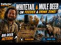 Hunter Call Of The Wild Lets Do A Grind!!