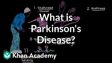 Jak se projevují primární Parkinsonovy choroby?