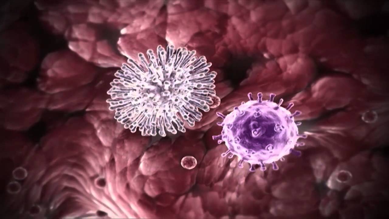 Cold Versus Flu Cdc