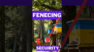 Apiary Site Preparation Fencing, Security, and Best Setup Guide for Beekeeping
