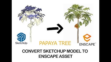 Convert Papaya tree SketchUp Model to Enscape Asset