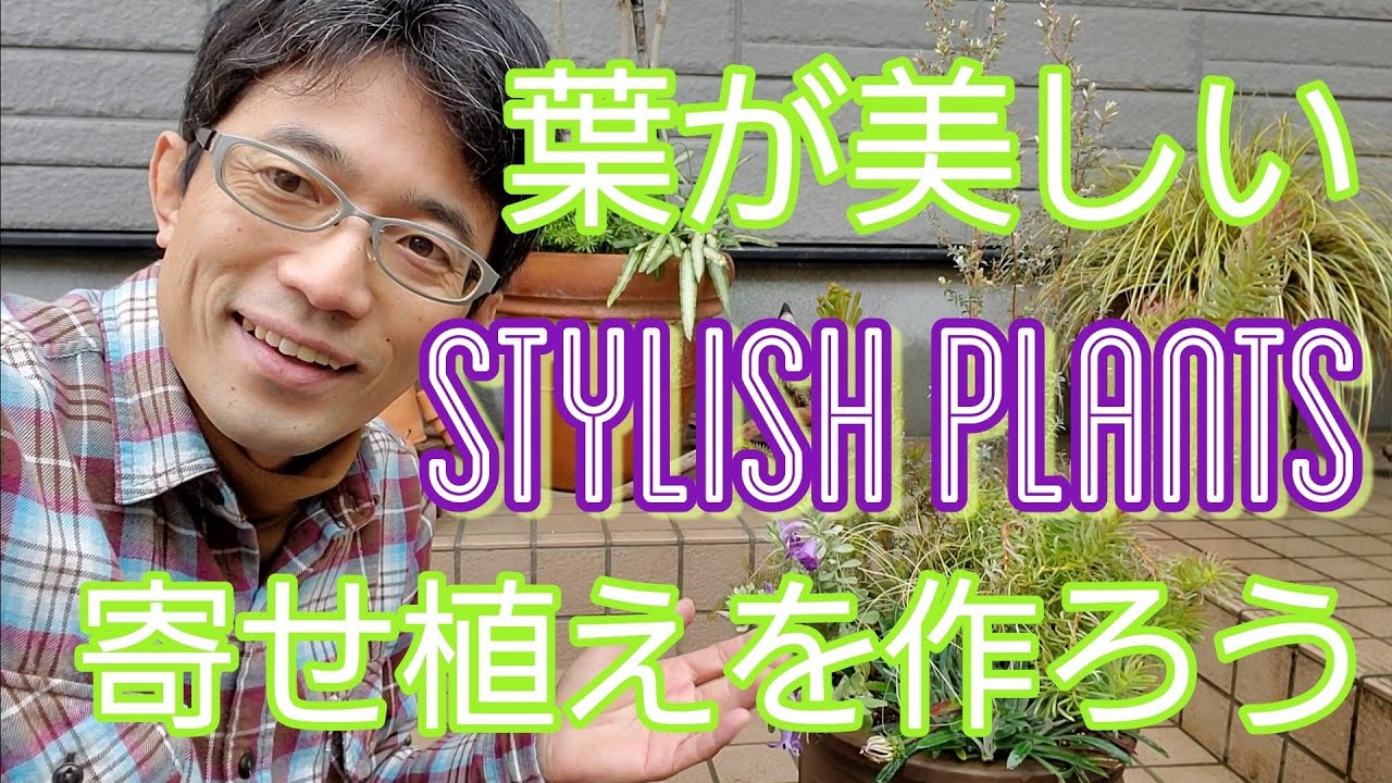 アントステラ　プランター プランターウィンドーボックス | ガーデン | アントステラ インテリア