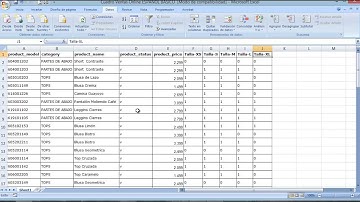 Cambiar Datos de Los Productos En Inventario Mediante Excel