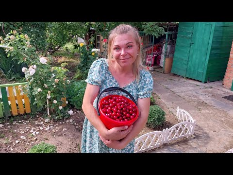 переезд на Юг/черешня в сиропе на зиму/наши будни/делаем заготовки/дети теперь нам помощники