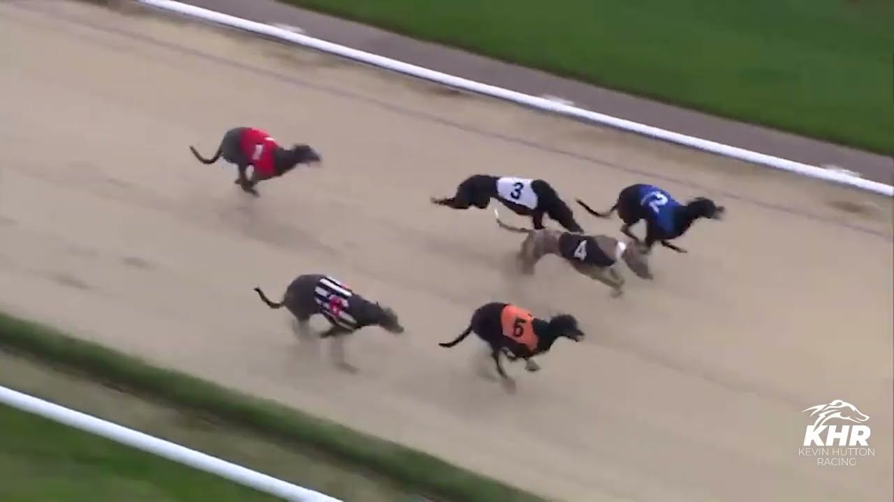 Rioja Maxi - ARENA RACING COMPANY BITCHES