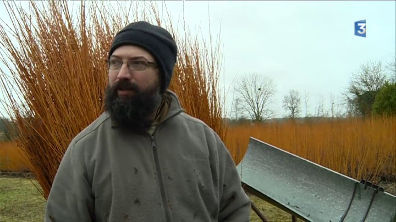 La récolte de l'osier en Gironde : une ambiance de feu en plein hiver