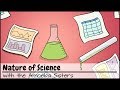Unleashing Curiosity Through the Scientific Method