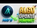 Algorand ( ALGO ) PUMPING? algorand price prediction | algorand crypto news (May 5)