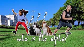 Who is the Alpha? | Run in opposite directions challenge