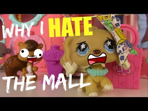 LPS: 5 Things I Hate About the Mall