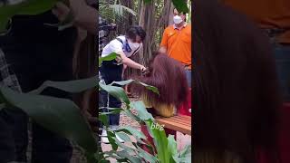 Roar Roar trip with Gulf - CandyThailand #gulfkanawut #กลัฟคณาวุฒิ