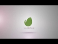 Colorful Flowers Logo Reveal