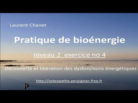 Niveau 2 exercice  4   dcouverte et libration des principales dysfonctions nergtiques