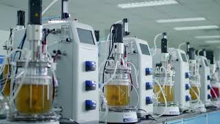 The Plasma Center