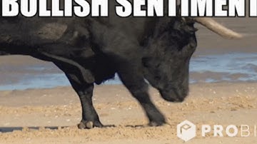 $AIBB using #AI to predict BULL and BEAR markets -  #AI #WEB3 #DEFI #GAMEFI #Arbitrum