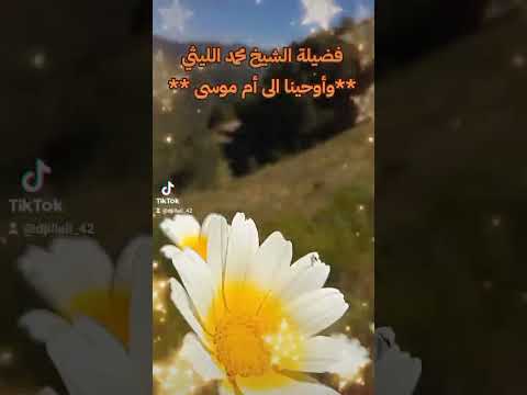 وأوحينا الى أم موسى فضيلة الشيخ محمد الليثي تلاوات خاشعة و مميزة  