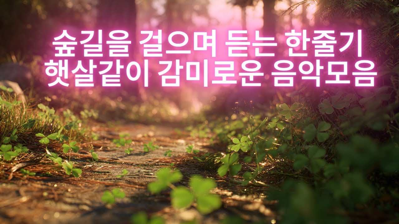 숲길을 걸으며 듣는 한줄기 햇살같이 감미로운 음악모음#59 