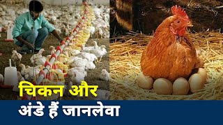Bird Flu: ऐसे करें बर्ड फ्लू से अपना बचाव, नहीं तो पड़ सकता है भारी screenshot 4