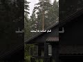من سورة طه غيث سمرين