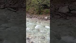 Речка в Баварских Альпах