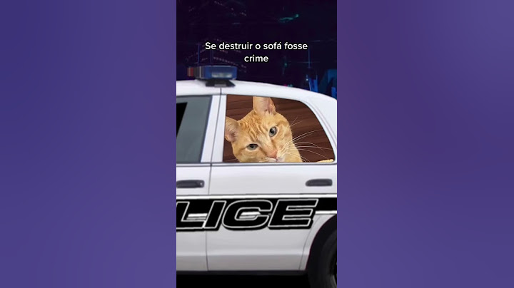 GATO É PRESO APÓS DESTRUIR O SOFÁ #shorts