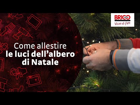 Come allestire le luci dell'albero di Natale | Bricocenter