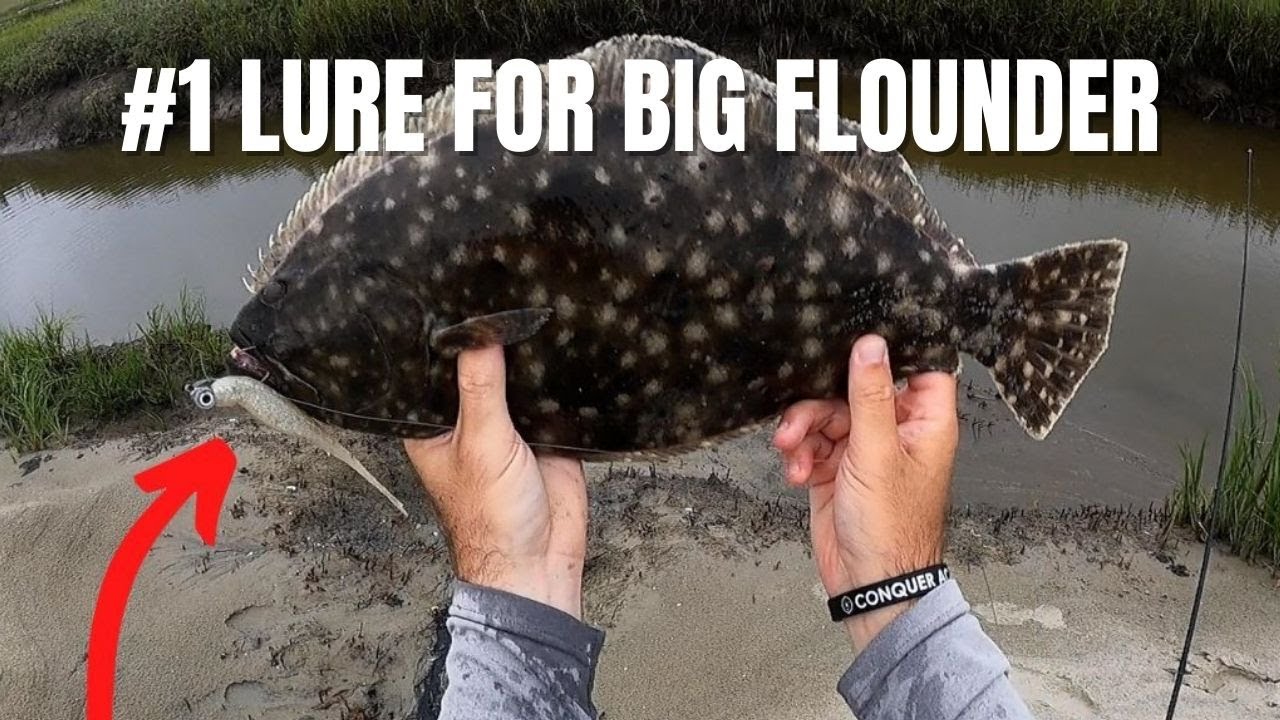 1 Lure For Big Flounder In The Springtime