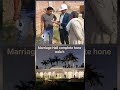Marriage Hall complete #marriagehall #guesthouse #restaurant #complete #construction #viral