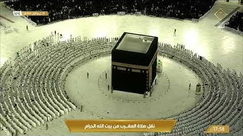 مغربية فريدة لتنقلات بديعة لخواتيم سورة النبأ + عبس | 28 ربيع الأول 1443هـ| للشيخ د. ماهر المعيقلي