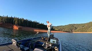 4 Smallmouth Bass in 5 Casts! Alabama Rig Success at Trinity Lake