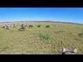 Wild West Apaches (Must See!)