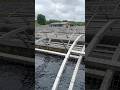 Fish Hatchery #branson #fish #fishing #travel #usa #vlog #wisconsin #nature #animal #hatchery #us