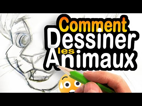 Comment DESSINER les ANIMAUX 😄😺 (manga et BD)