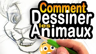 Comment DESSINER les ANIMAUX 😄😺 (manga et BD) screenshot 2