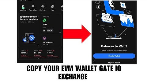 How to copy your EVM wallet on Gate.io Exchange