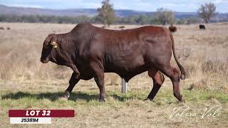 Lot 32
