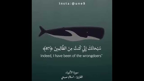 القارئ الشيخ وديع اليمني ما تيسر من سورة الأنبياء