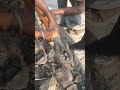 pipe ke andar pipe dalte hue #hdd #xcmg #shortvideo #gas pipe