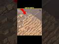 A Dog Climbed The Pyramid PT-2 #shorts #viral #trending #youtubeshorts #shots #trendingshorts #fypシ
