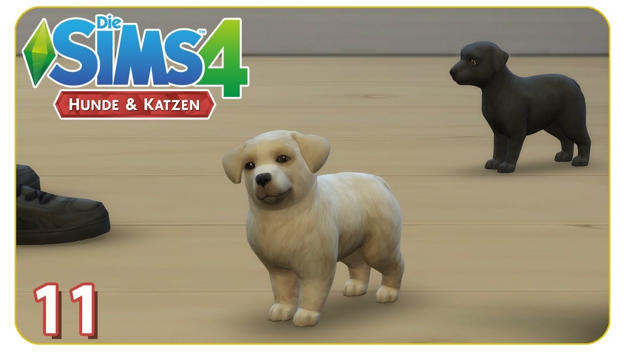 Sims 4 Hunde Kaufen Und Halten So Gehts Chip