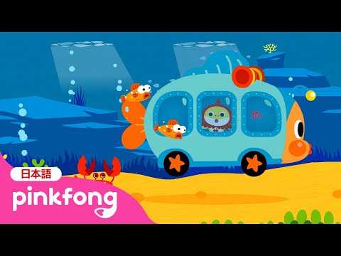 あかずきん ベイビーシャーク | サメのかぞく | Baby Shark on the Bus 日本語バージョン | ベイビーシャークと歌おう | 子どもの歌 | ベイビーシャークとピンキッツ