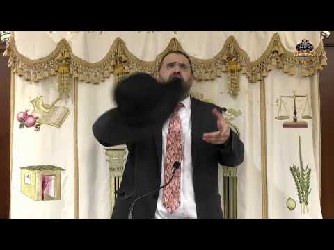 הרב אדיר עמרוצי -  הילולת מרן רבנו עובדיה יוסף זצ''ל תשפה