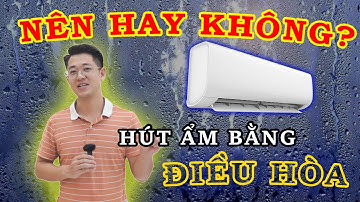 Chế độ hút ẩm trên điều hoà NÊN HAY KHÔNG? So Sánh máy hút ẩm và điều hoà | Nhà Bean Review