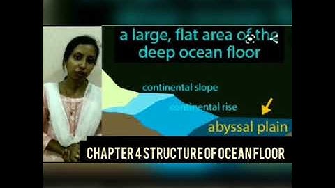 LS ) STRUCTURE OF THE OCEAN FLOOR