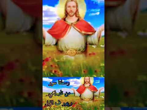 Shortvideo اكسبلور علي ضرب الاوتار بالهتاف والتهليل 