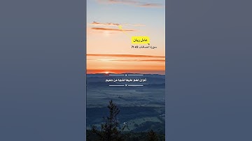 سورة الصافات الاية 62-71