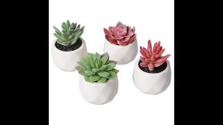 Amyhomie Set of 4 Mini Fake Succulent Plants