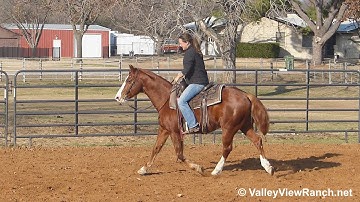 Bayou Pepto - riding in outdoor arena #1 - ValleyViewRanch.net