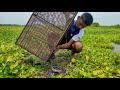 Unique Bamboo Tools Trap Fishing Video // This Is Traditional Fishing Method // Lots Of Fish Hunting